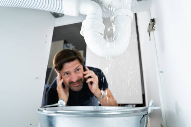 Best Plumbing Inspection Services  in Reinholds, PA